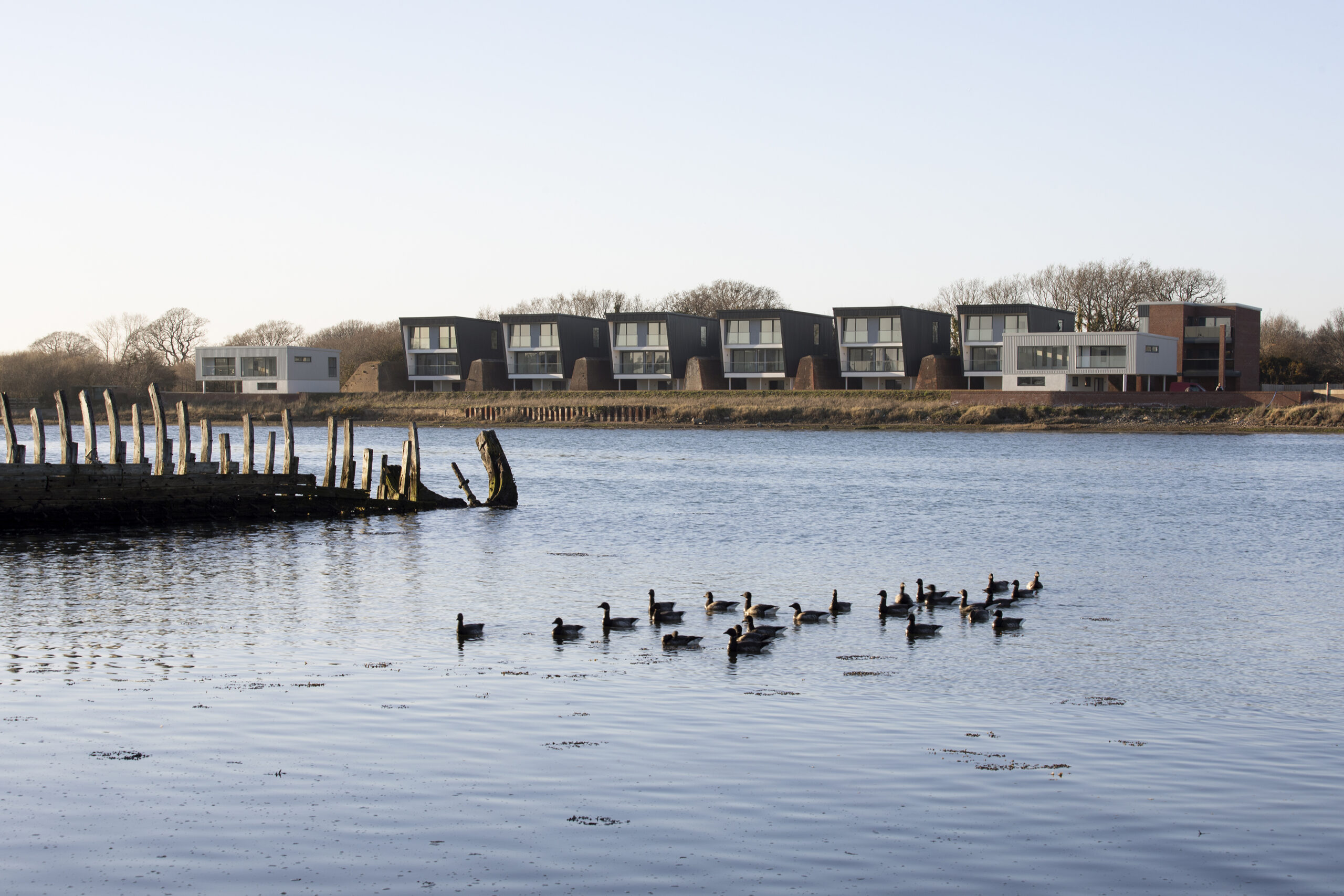 our commitment to sustainability